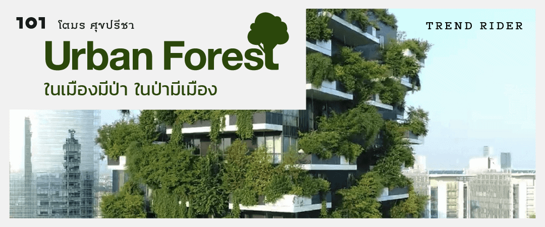 Urban Forest ในเมืองมีป่า ในป่ามีเมือง