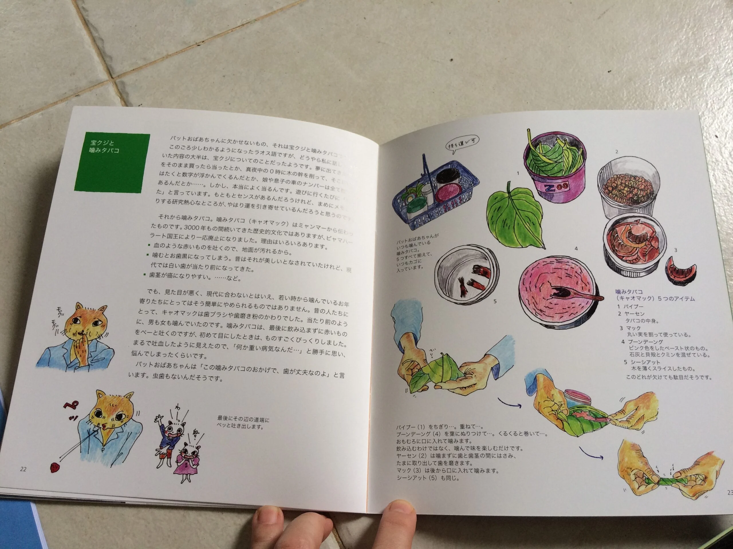 การ์ตูนหัวเป็นแมว ตัวเป็นคน เรื่องแม่สามีทำปลาร้าส่งไปขายในญี่ปุ่น
