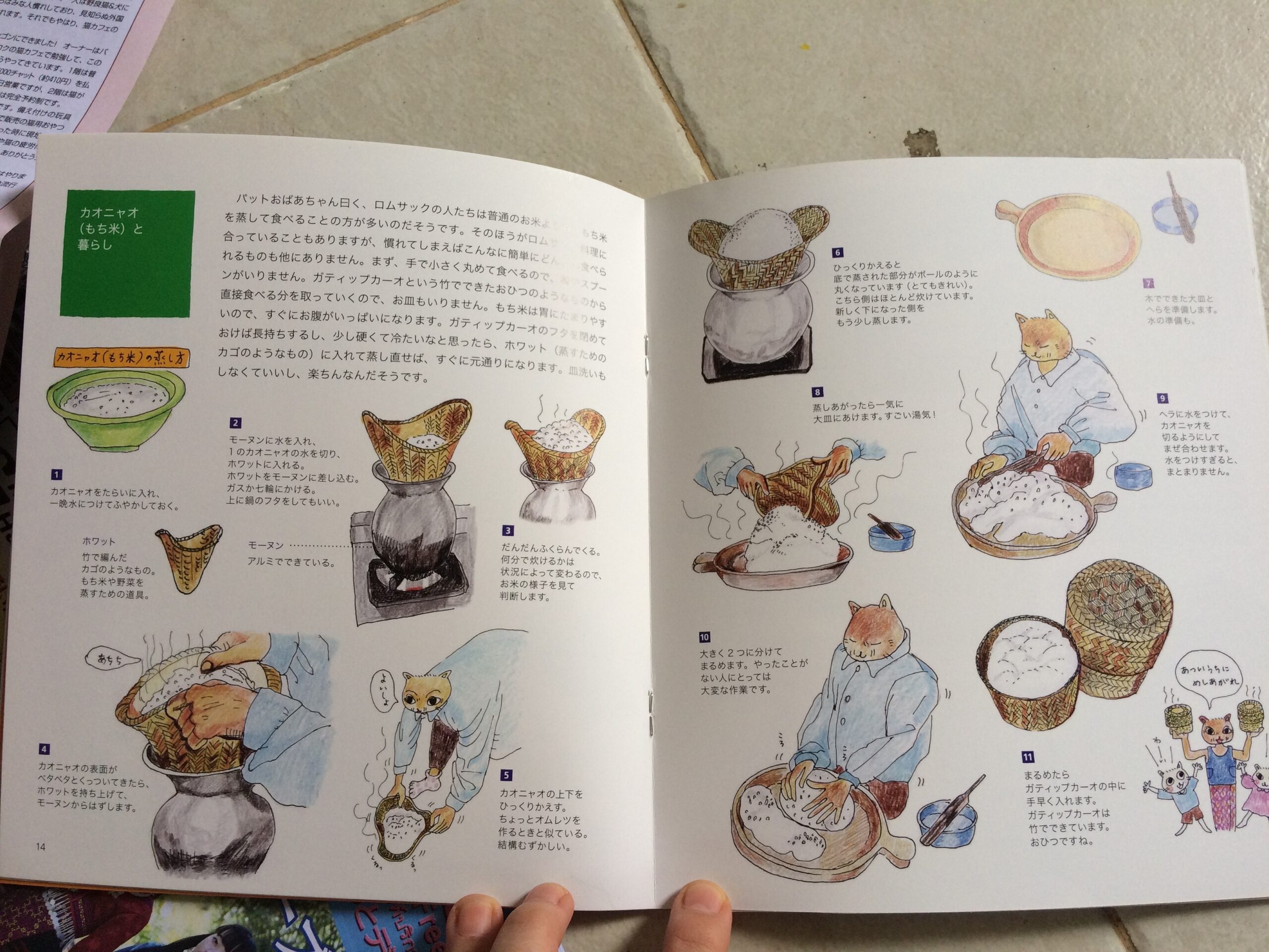 การ์ตูนหัวเป็นแมว ตัวเป็นคน เรื่องแม่สามีทำปลาร้าส่งไปขายในญี่ปุ่น