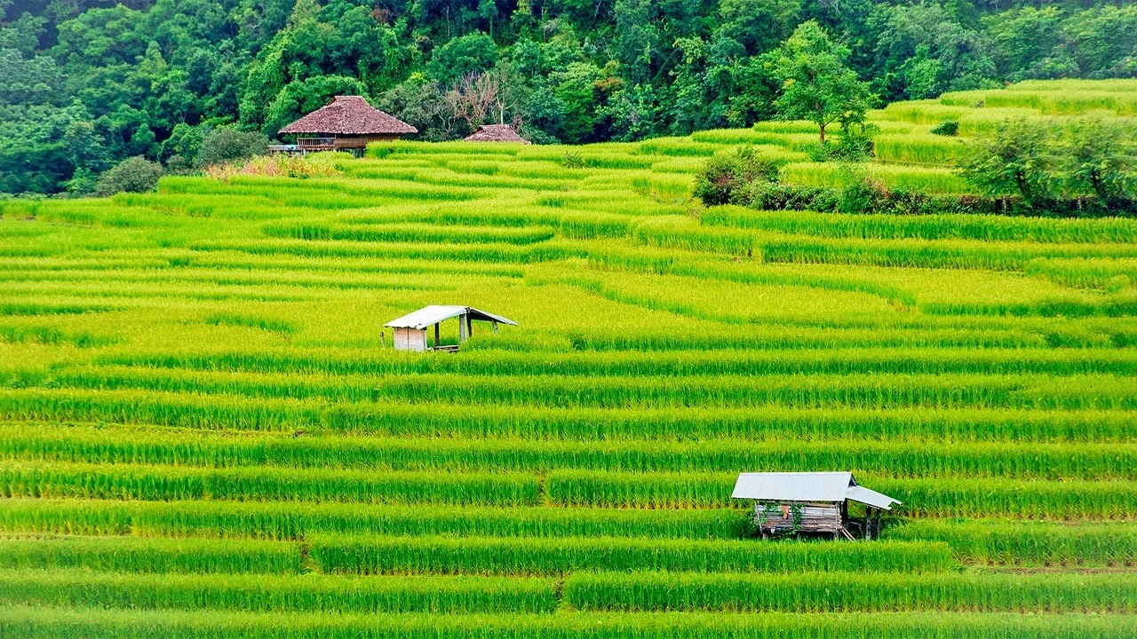 Interdependence and sovereignty: Some developing countries want to export to other developing countries | William Chotprommarat CC0
