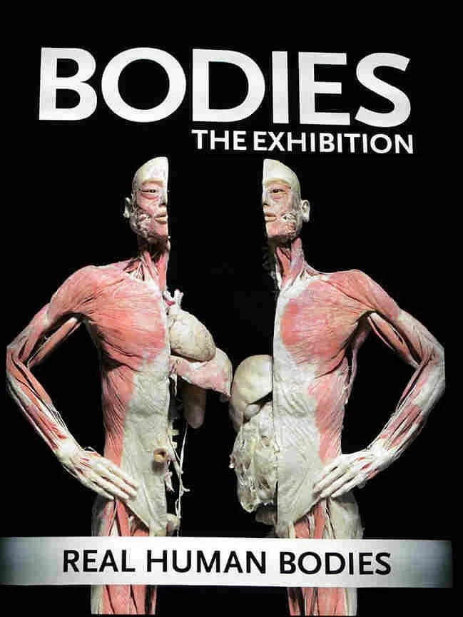 นิทรรศการ Real Bodies