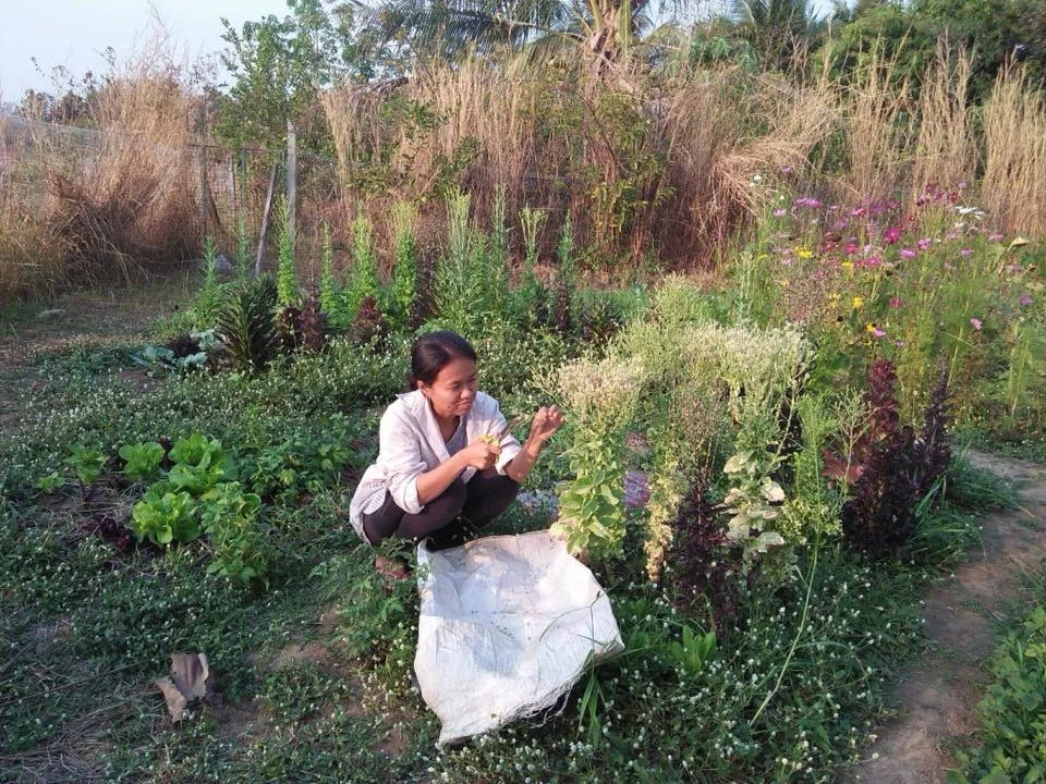 เน็ตติ้ง จารุวรรณ สุพลไร่