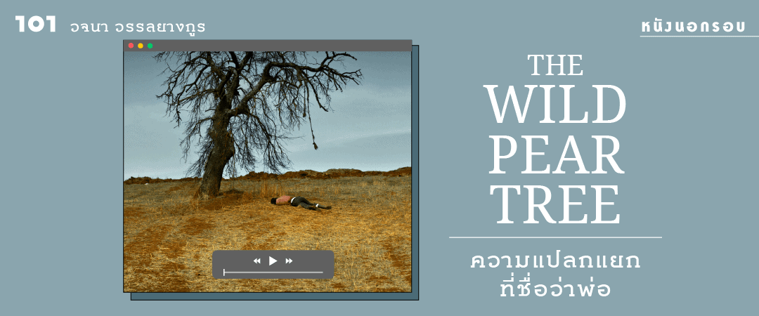 The Wild Pear Tree ความแปลกแยกที่ชื่อว่าพ่อ