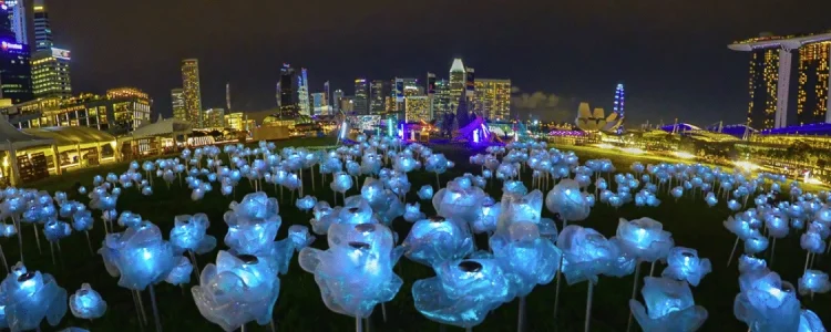 i Light Singapore