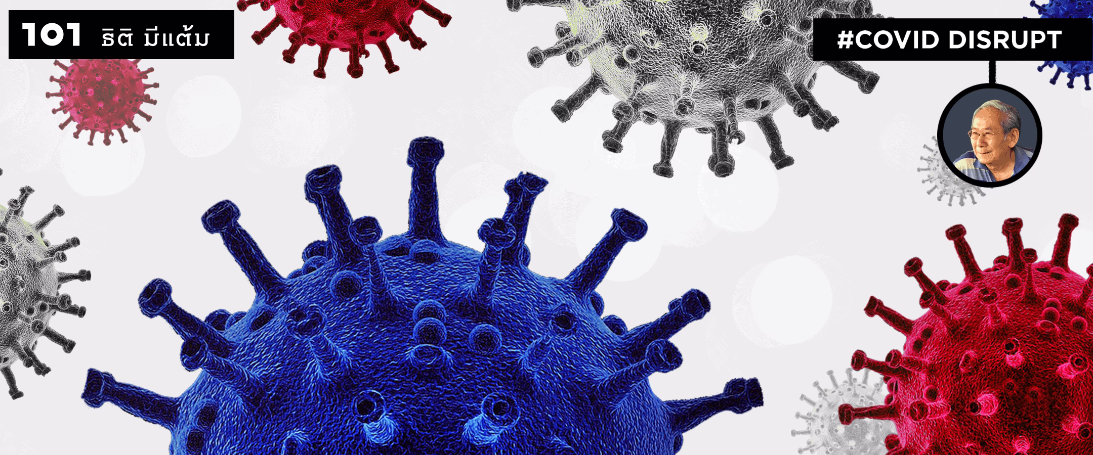 วัดไข้กับ นิธิ เอียวศรีวงศ์ : เมื่อชาติไทยติดไวรัส