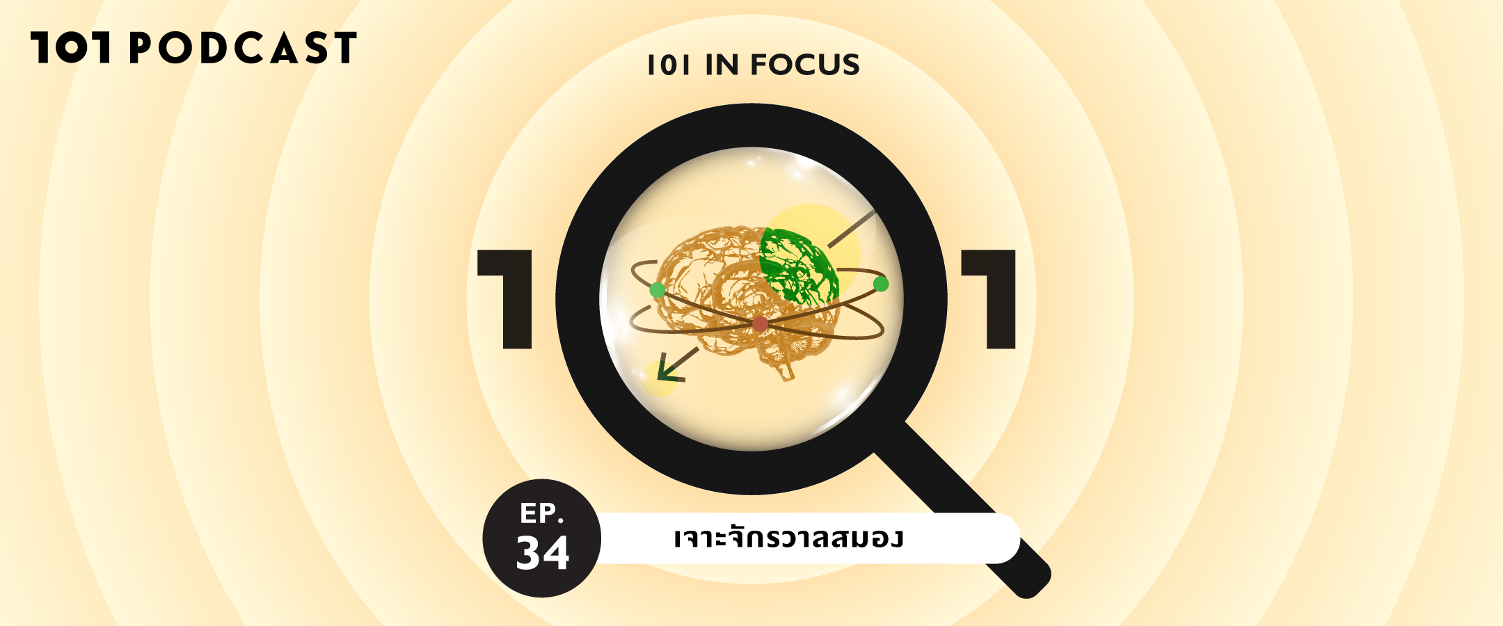 101 In Focus EP.34 : เจาะจักรวาลสมอง