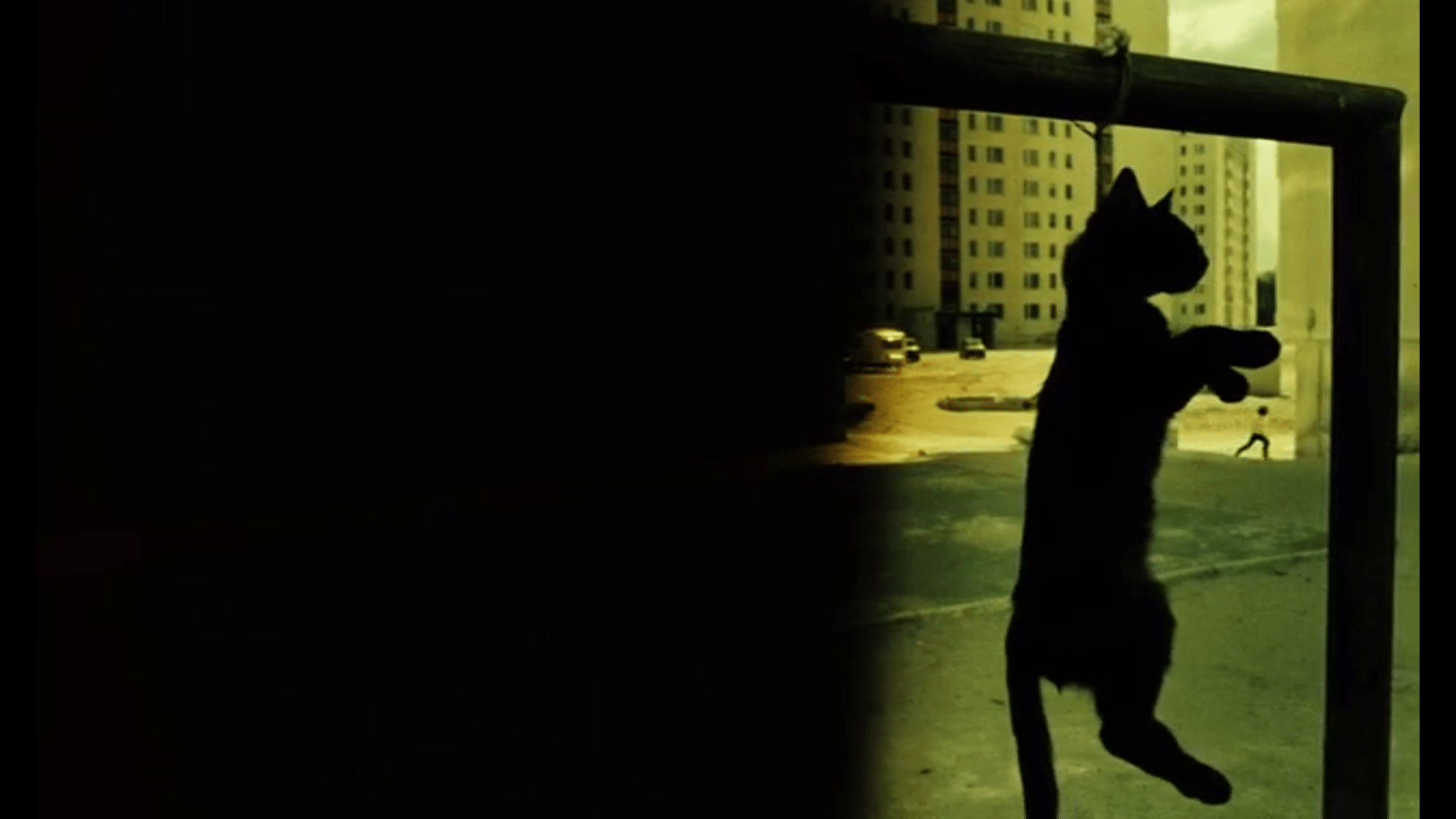 A Short Film About Killing