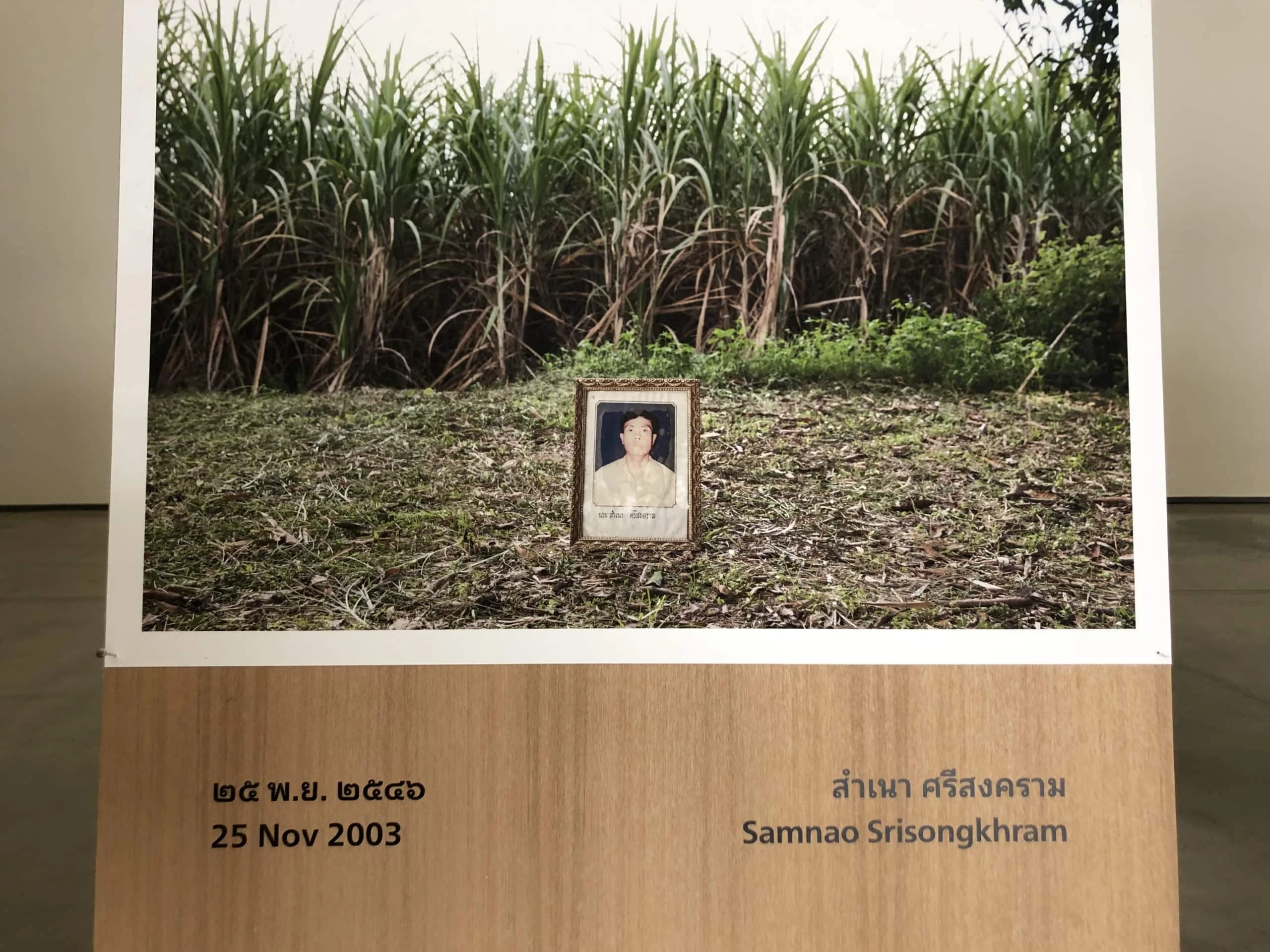 วิญญาณในภาพถ่าย นิทรรศการ พิพิธภัณฑ์ศิลปะ For those who died trying