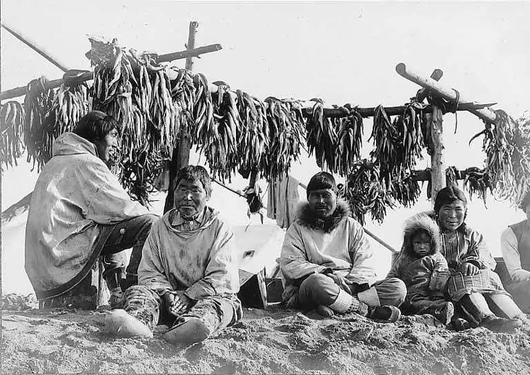 การตากปลาซึ่งเป็นหนึ่งในวิธีถนอมอาหารเพื่อบริโภคในฤดูหนาว (ค.ศ. 1901-1911) ซึ่งยังพบทั่วไปในรัฐอะแลสกา